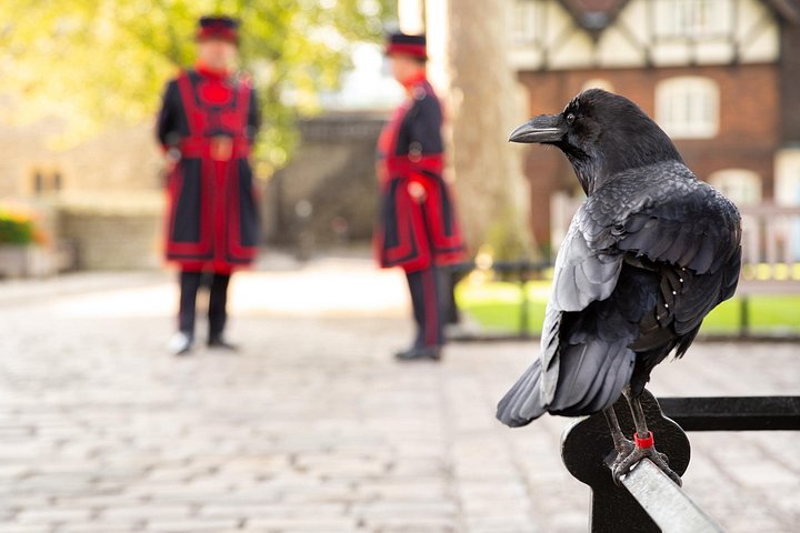 Visite de la Tour de Londres en accès anticipé, présentant les Joyaux de la Couronne et la cérémonie des Beefeaters, photo 7 | wizardtrip