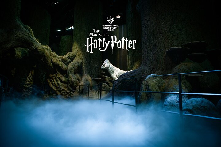 Découvrez la magie des films Harry Potter avec une visite guidée du Warner Bros. Studio Tour London, incluant le transport, photo 10 | wizardtrip