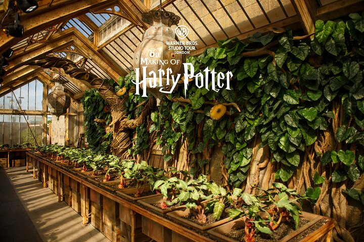 Découvrez la magie des films Harry Potter avec une visite guidée du Warner Bros. Studio Tour London, incluant le transport, photo 17 | wizardtrip