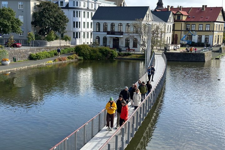 Kleingruppen-Stadtführung durch Reykjavíks Sehenswürdigkeiten und Straßen, Foto 7 | wizardtrip