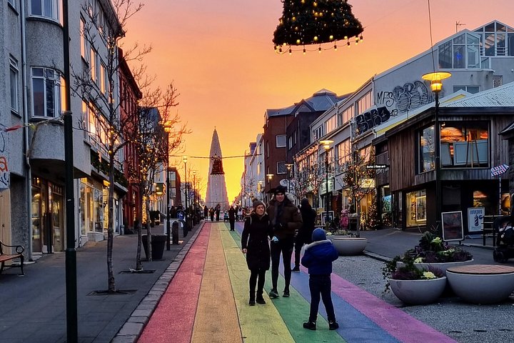 Kleingruppen-Stadtführung durch Reykjavíks Sehenswürdigkeiten und Straßen, Foto 12 | wizardtrip
