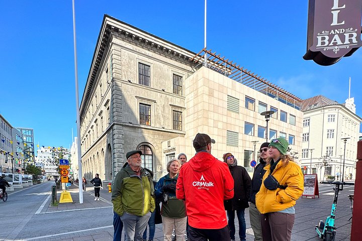 Kleingruppen-Stadtführung durch Reykjavíks Sehenswürdigkeiten und Straßen, Foto 16 | wizardtrip