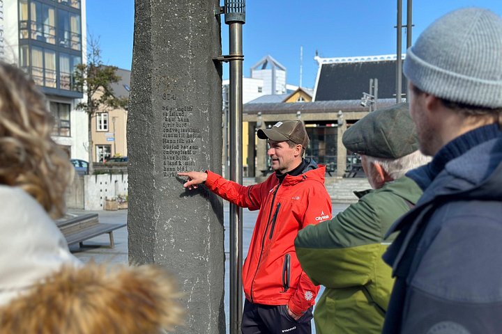 Kleingruppen-Stadtführung durch Reykjavíks Sehenswürdigkeiten und Straßen, Foto 17 | wizardtrip