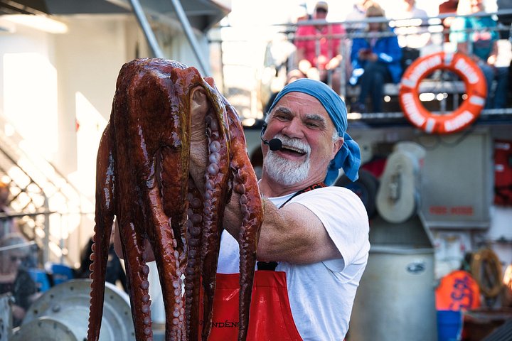 Experience an authentic Bering Sea crab fisherman tour in Ketchikan, Alaska, featuring marine life and eagles, photo 6 | wizardtrip
