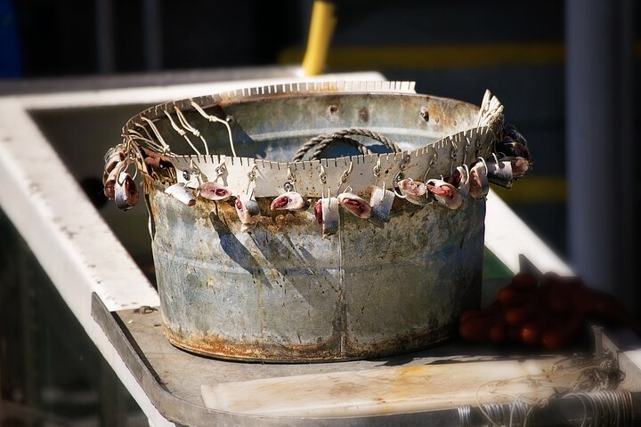 Experience an authentic Bering Sea crab fisherman tour in Ketchikan, Alaska, featuring marine life and eagles, photo 12 | wizardtrip