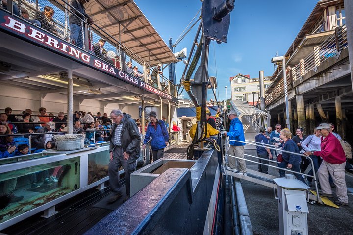 Experience an authentic Bering Sea crab fisherman tour in Ketchikan, Alaska, featuring marine life and eagles, photo 17 | wizardtrip