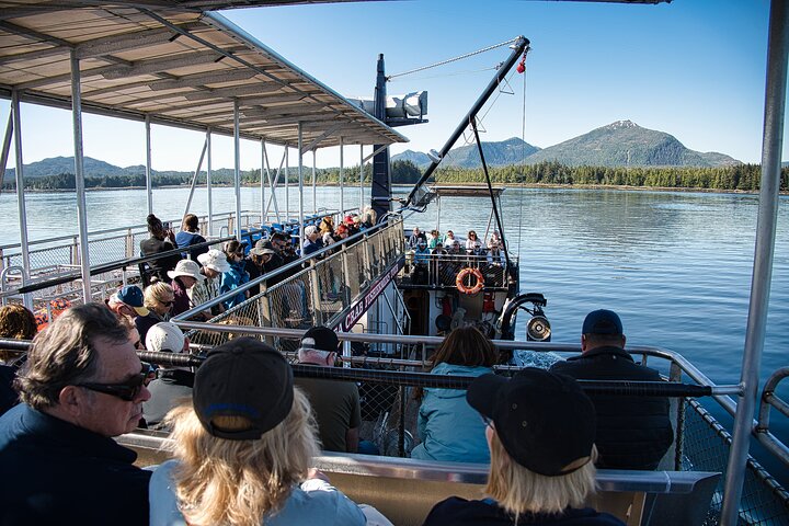Experience an authentic Bering Sea crab fisherman tour in Ketchikan, Alaska, featuring marine life and eagles, photo 19 | wizardtrip
