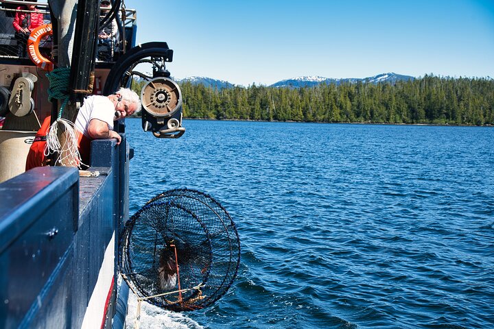 Experience an authentic Bering Sea crab fisherman tour in Ketchikan, Alaska, featuring marine life and eagles, photo 22 | wizardtrip