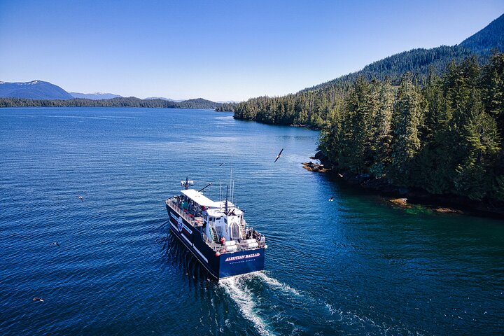 Experience an authentic Bering Sea crab fisherman tour in Ketchikan, Alaska, featuring marine life and eagles, photo 23 | wizardtrip