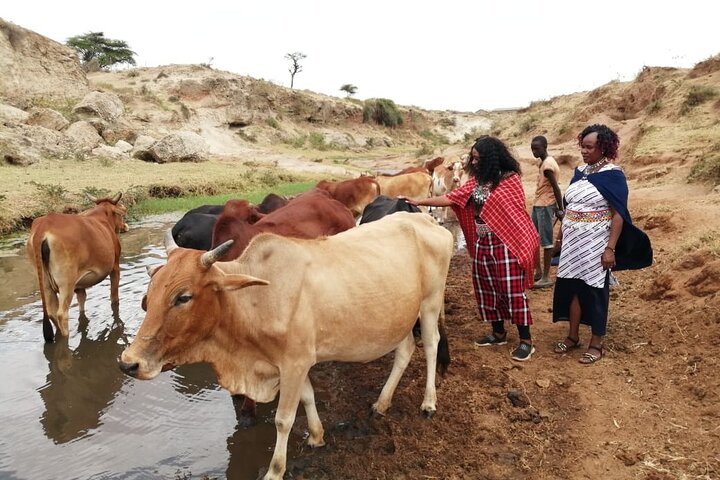 Ervaar de authentieke Masai-cultuur met dorpsbezoeken, traditionele activiteiten en gemeenschapsinteractie nabij Nairobi, foto 16 | wizardtrip