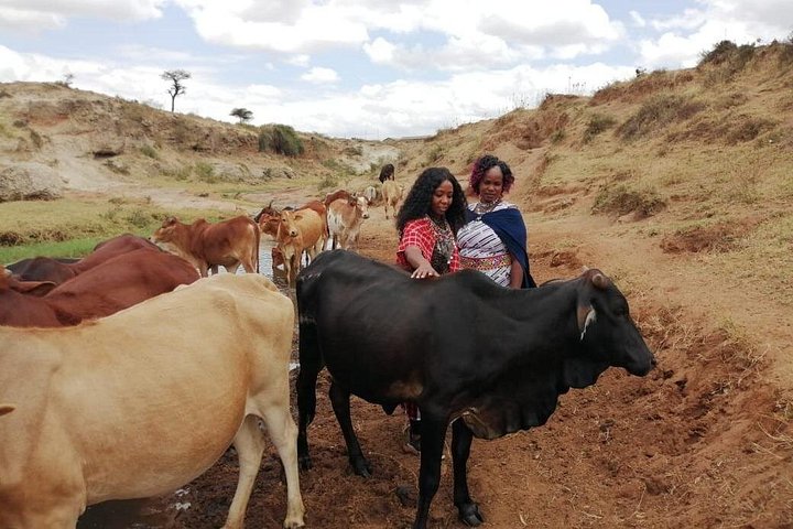 Ervaar de authentieke Masai-cultuur met dorpsbezoeken, traditionele activiteiten en gemeenschapsinteractie nabij Nairobi, foto 26 | wizardtrip