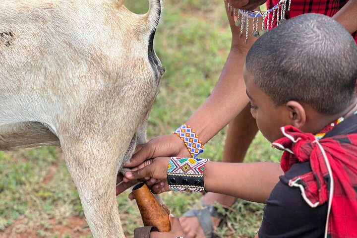 Ervaar de authentieke Masai-cultuur met dorpsbezoeken, traditionele activiteiten en gemeenschapsinteractie nabij Nairobi, foto 38 | wizardtrip