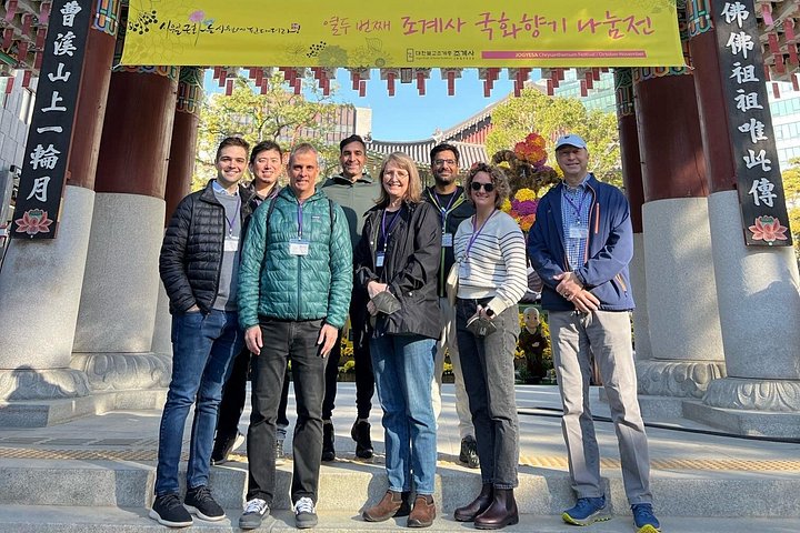 Sightseeingtur i Seoul med Gyeongbokgung-palasset, Insadong-markedet og utsikt fra Namsan Tower, foto 31 | wizardtrip