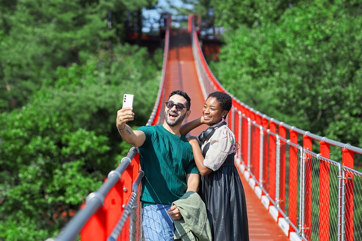 Explore the historic Korean Demilitarized Zone (DMZ) from Seoul, including key sites and optional activities, photo 1 | wizardtrip