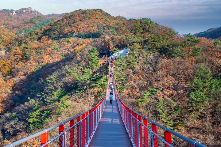 Udforsk den historiske Koreanske Demilitariserede Zone (DMZ) fra Seoul, inklusive vigtige steder og valgfrie aktiviteter, foto 15 | wizardtrip