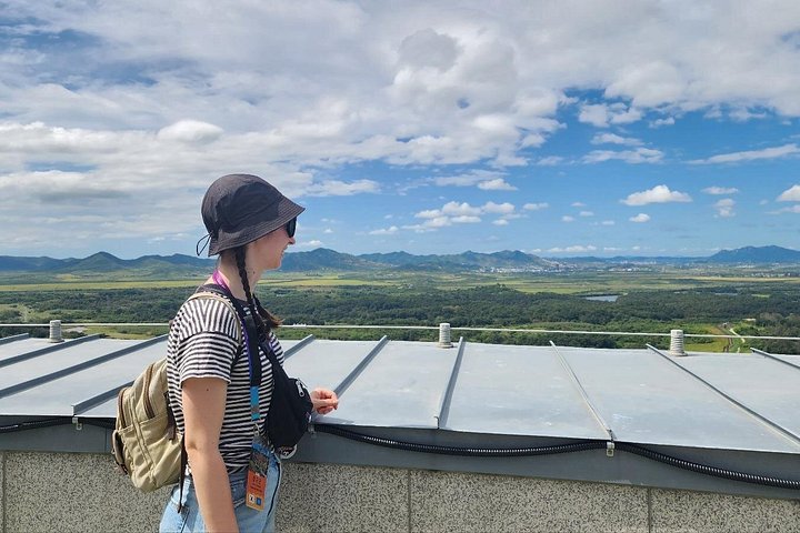 Udforsk den historiske Koreanske Demilitariserede Zone (DMZ) fra Seoul, inklusive vigtige steder og valgfrie aktiviteter, foto 24 | wizardtrip