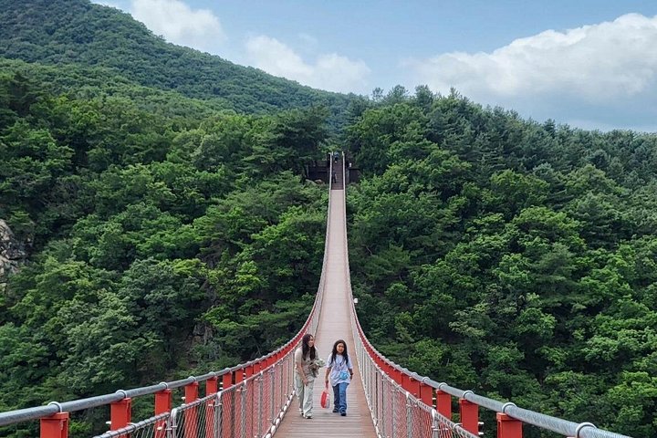 Turistas exploram a Zona Desmilitarizada da Coreia (DMZ) fortemente fortificada perto de Seul, Coreia do Sul, foto 20 | wizardtrip