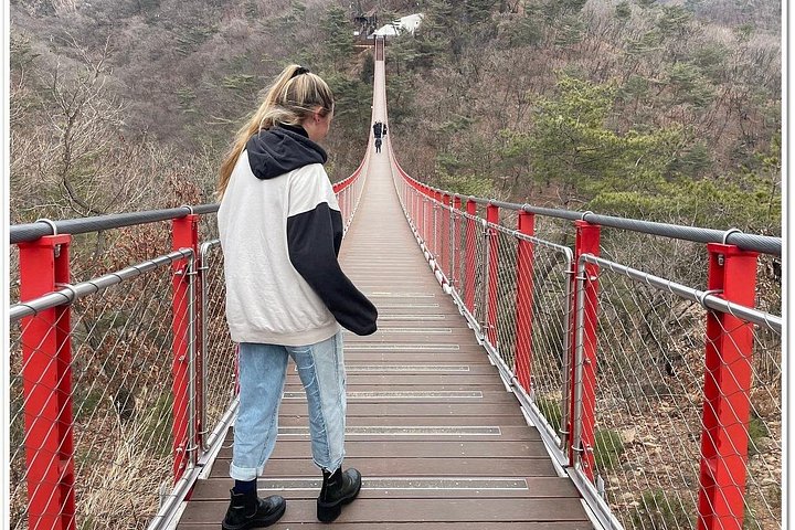 Turistas exploram a Zona Desmilitarizada da Coreia (DMZ) fortemente fortificada perto de Seul, Coreia do Sul, foto 24 | wizardtrip