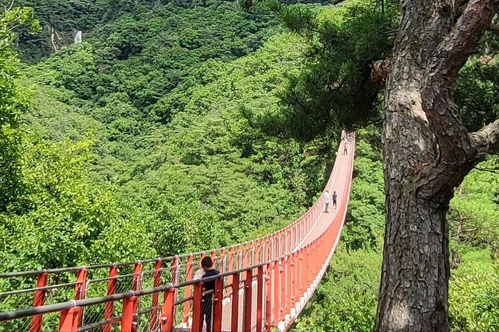 Turistas exploram a Zona Desmilitarizada da Coreia (DMZ) fortemente fortificada perto de Seul, Coreia do Sul, foto 26 | wizardtrip