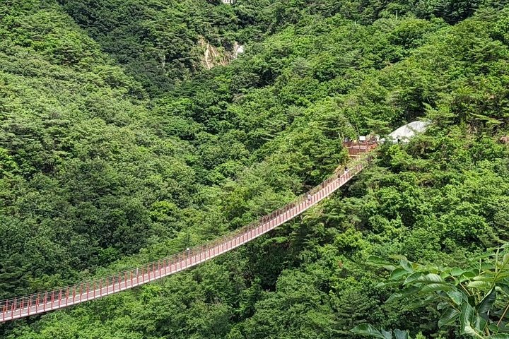 Turistas exploram a Zona Desmilitarizada da Coreia (DMZ) fortemente fortificada perto de Seul, Coreia do Sul, foto 29 | wizardtrip