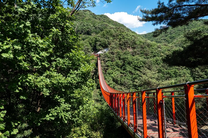 Turister udforsker Koreas Demilitariserede Zone (DMZ) nær Seoul, Sydkorea, foto 20 | wizardtrip