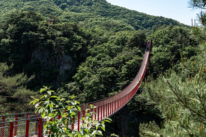 ソウル発のユニークなツアーで、DMZ（非武装地帯）とJSA博物館を探訪しましょう、写真28 | wizardtrip