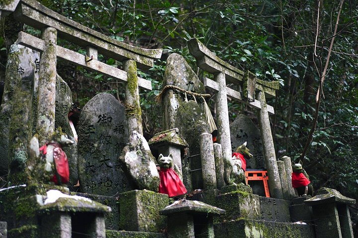 Versteckte Wanderung durch Fushimis Inari Bambushaine und Torii-Tore in Kyoto, Japan, Foto 6 | wizardtrip