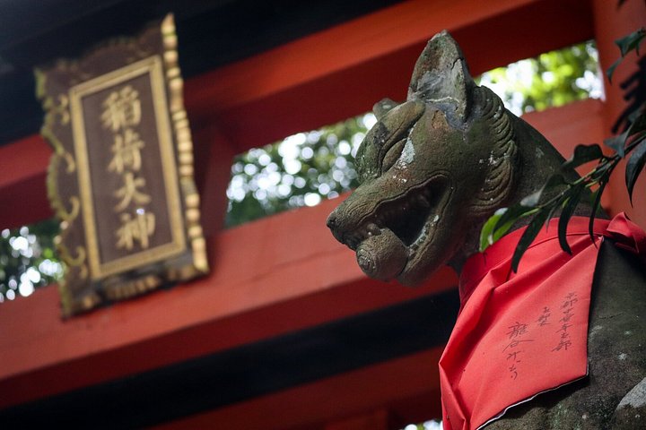 Versteckte Wanderung durch Fushimis Inari Bambushaine und Torii-Tore in Kyoto, Japan, Foto 9 | wizardtrip