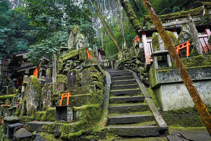 Versteckte Wanderung durch Fushimis Inari Bambushaine und Torii-Tore in Kyoto, Japan, Foto 10 | wizardtrip