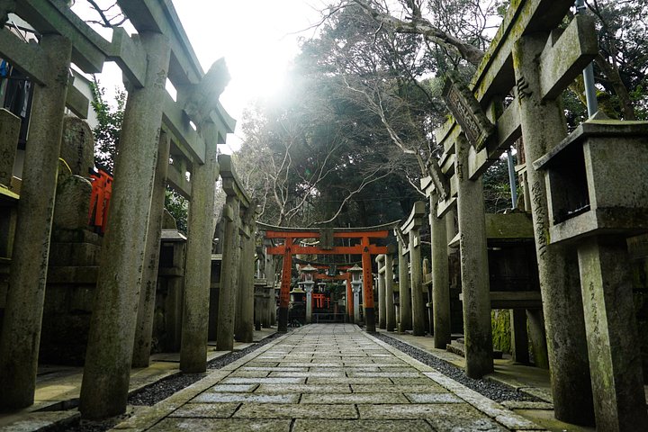 Versteckte Wanderung durch Fushimis Inari Bambushaine und Torii-Tore in Kyoto, Japan, Foto 13 | wizardtrip