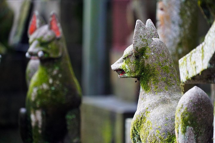 Versteckte Wanderung durch Fushimis Inari Bambushaine und Torii-Tore in Kyoto, Japan, Foto 17 | wizardtrip