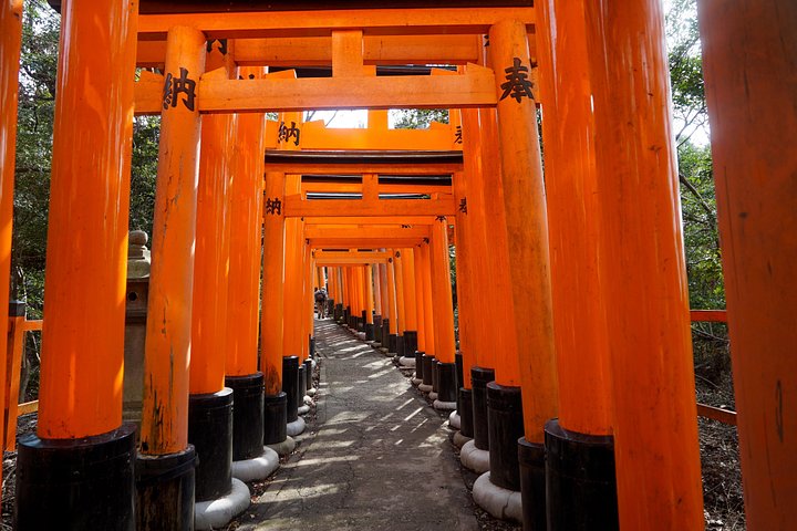 Versteckte Wanderung durch Fushimis Inari Bambushaine und Torii-Tore in Kyoto, Japan, Foto 19 | wizardtrip