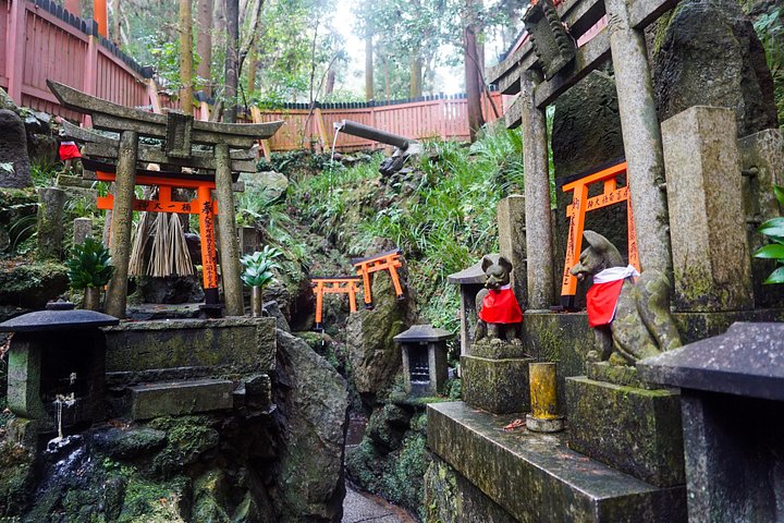 Versteckte Wanderung durch Fushimis Inari Bambushaine und Torii-Tore in Kyoto, Japan, Foto 24 | wizardtrip
