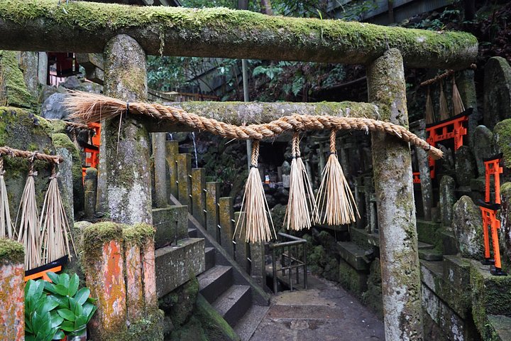 Versteckte Wanderung durch Fushimis Inari Bambushaine und Torii-Tore in Kyoto, Japan, Foto 28 | wizardtrip