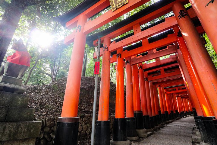 Versteckte Wanderung durch Fushimis Inari Bambushaine und Torii-Tore in Kyoto, Japan, Foto 31 | wizardtrip