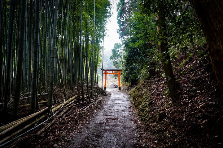 Versteckte Wanderung durch Fushimis Inari Bambushaine und Torii-Tore in Kyoto, Japan, Foto 35 | wizardtrip