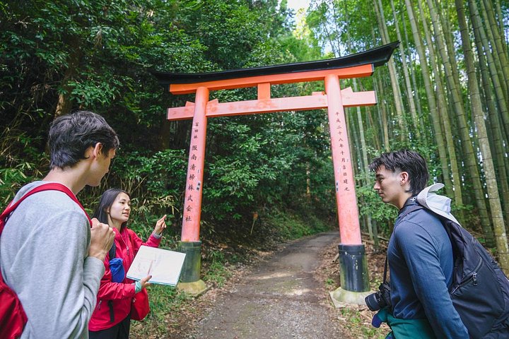 Versteckte Wanderung durch Fushimis Inari Bambushaine und Torii-Tore in Kyoto, Japan, Foto 36 | wizardtrip