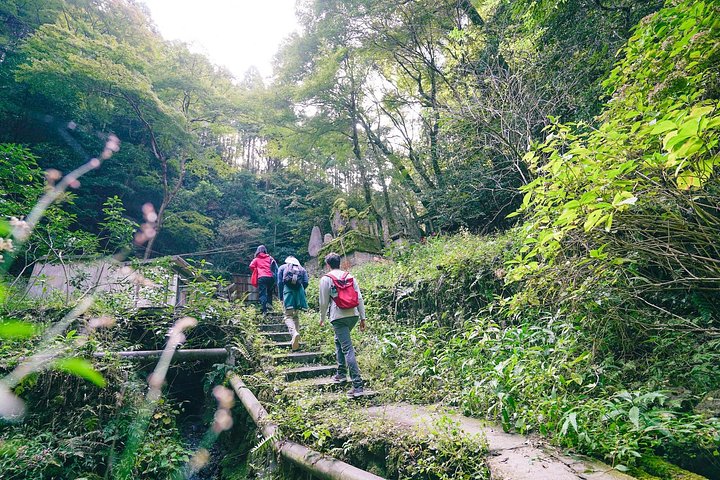 Versteckte Wanderung durch Fushimis Inari Bambushaine und Torii-Tore in Kyoto, Japan, Foto 39 | wizardtrip