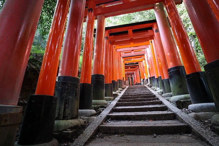 Versteckte Wanderung durch Fushimis Inari Bambushaine und Torii-Tore in Kyoto, Japan, Foto 41 | wizardtrip
