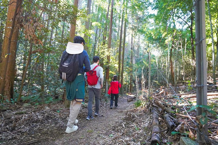Versteckte Wanderung durch Fushimis Inari Bambushaine und Torii-Tore in Kyoto, Japan, Foto 44 | wizardtrip