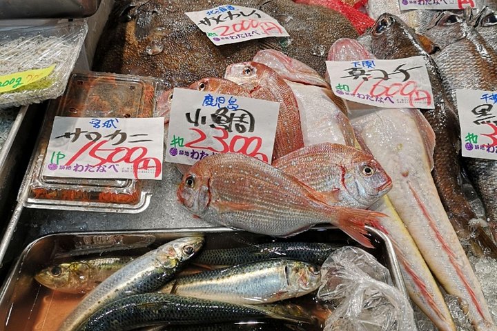 Utforska Tokyos livliga Tsukiji fiskmarknad med en guidad tur med provsmakning av fisk och skaldjur och kulturella insikter, foto 20 | wizardtrip