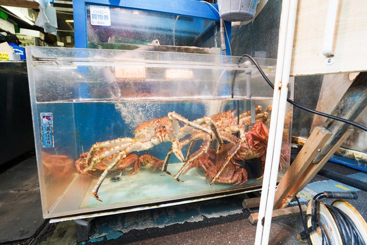 Utforska Tokyos livliga Tsukiji fiskmarknad med en guidad tur med provsmakning av fisk och skaldjur och kulturella insikter, foto 36 | wizardtrip