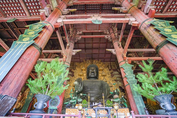 En guidad vandringstur genom Narass historiska tempel, helgedomar och parker, med pagoder, den Stora Buddha och vilda hjortar, foto 9 | wizardtrip