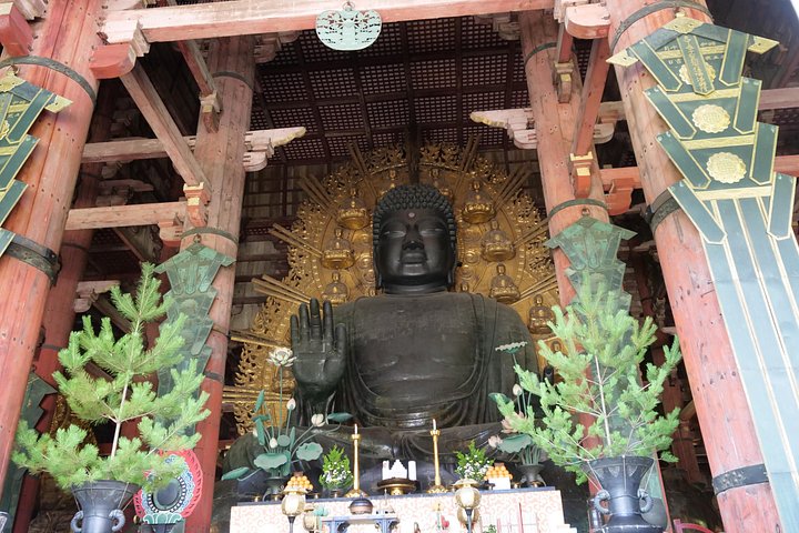 En guidad vandringstur genom Narass historiska tempel, helgedomar och parker, med pagoder, den Stora Buddha och vilda hjortar, foto 16 | wizardtrip