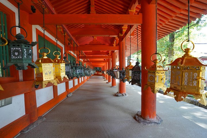 En guidad vandringstur genom Narass historiska tempel, helgedomar och parker, med pagoder, den Stora Buddha och vilda hjortar, foto 18 | wizardtrip