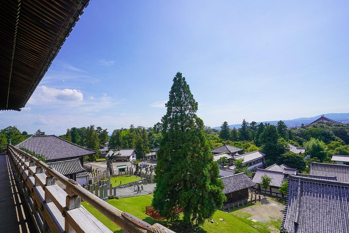 En guidad vandringstur genom Narass historiska tempel, helgedomar och parker, med pagoder, den Stora Buddha och vilda hjortar, foto 21 | wizardtrip