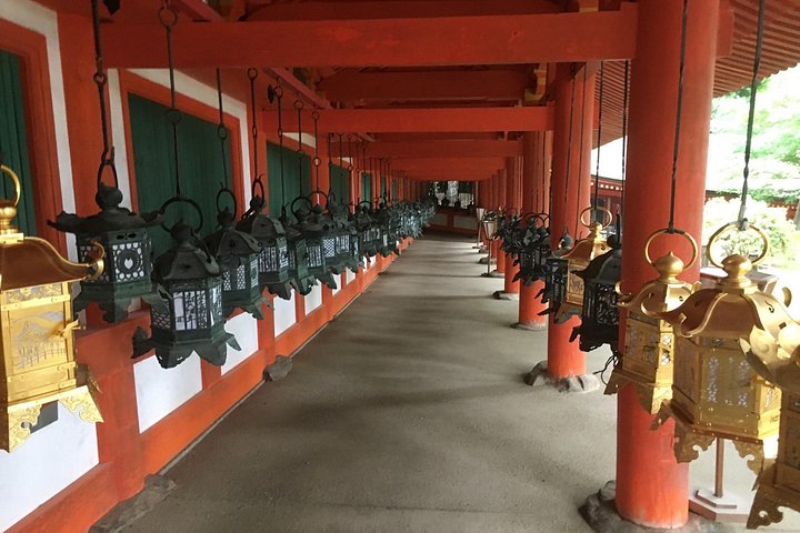 En guidad vandringstur genom Narass historiska tempel, helgedomar och parker, med pagoder, den Stora Buddha och vilda hjortar, foto 22 | wizardtrip