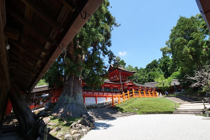 En guidad vandringstur genom Narass historiska tempel, helgedomar och parker, med pagoder, den Stora Buddha och vilda hjortar, foto 37 | wizardtrip