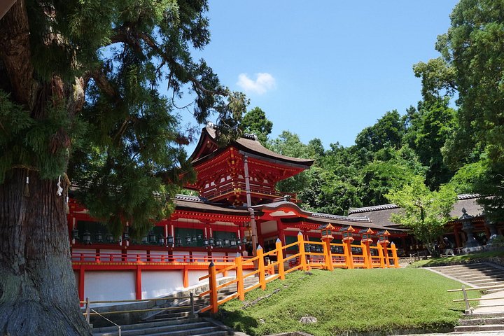 En guidad vandringstur genom Narass historiska tempel, helgedomar och parker, med pagoder, den Stora Buddha och vilda hjortar, foto 38 | wizardtrip