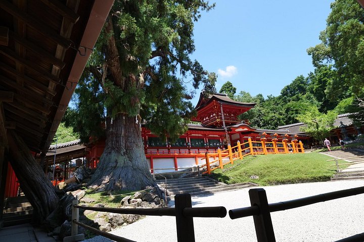 En guidad vandringstur genom Narass historiska tempel, helgedomar och parker, med pagoder, den Stora Buddha och vilda hjortar, foto 39 | wizardtrip